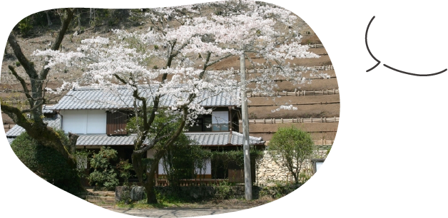 日向市歴史民俗資料館