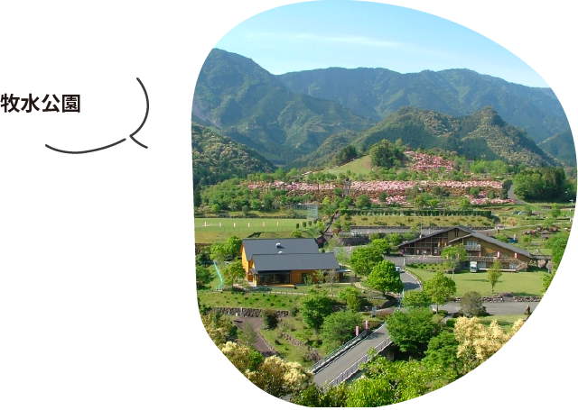 美々津の町並み散策