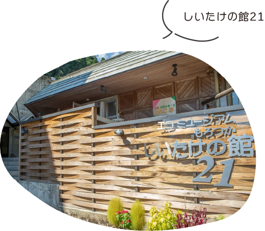 しいたけの館21（諸塚村）